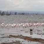 Photo taken by Gabrielle A