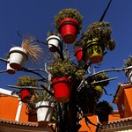 Photo taken by Suzanne C