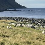 Photo taken by Sharon S