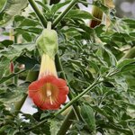 Photo taken by Miranda M