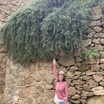 Photo taken by Suzanne S