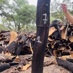 Photo taken by Susan W