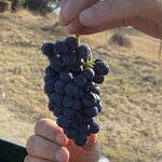 Photo taken by Stella S