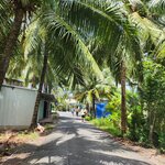 Photo taken by Sevi Y