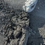 Photo taken by Michael S