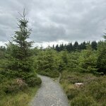 Photo taken by Nicki S