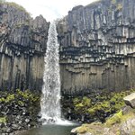 Photo taken by Janice R