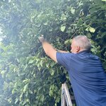 Photo taken by Robin C