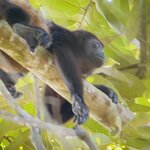 Photo taken by Blair H