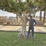 Photo taken by Sailesh P