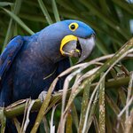 Photo taken by Matt W