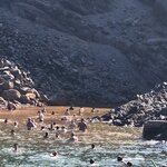 Photo taken by Leigh H