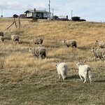 Photo taken by Amber S