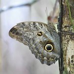 Photo taken by Graeme W