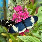 Photo taken by Ann F