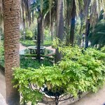 Photo taken by Gary G