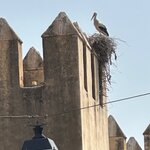 Photo taken by Brenda A