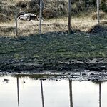 Photo taken by Terry M