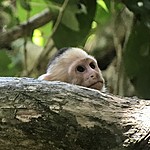 Photo taken by Michelle D