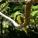 Photo taken by Kristen L