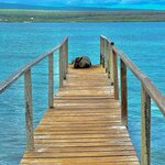 Photo taken by Katherine A