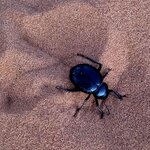 Photo taken by Bianca C