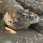 Photo taken by Mariah C