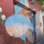 Photo taken by Priya R