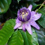 Photo taken by Garritt V