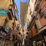 Photo taken by Tricia Z