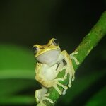 Photo taken by Darlene N