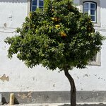 Photo taken by Deirdre H