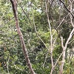 Photo taken by Tony F