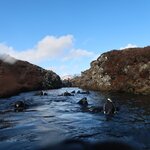 Photo taken by Lynn H