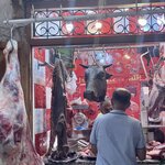 Photo taken by Cynthia F