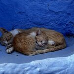 Photo taken by Julie A