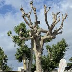 Photo taken by Elysa D