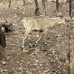 Photo taken by Mary R