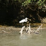 Photo taken by Kristen L