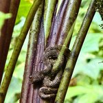 Photo taken by Paul F