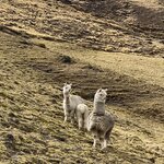 Photo taken by martin M