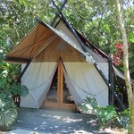 Photo taken by Pat K