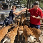 Photo taken by Susan M