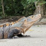 Photo taken by Mathew S