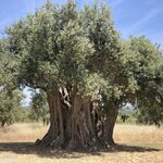 Photo taken by Michele R