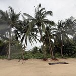 Photo taken by Brian W