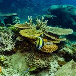 Photo taken by Nicholas P