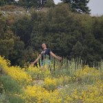 Photo taken by Shawn G