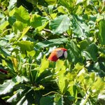 Photo taken by Brett F