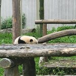 Photo taken by Vitaliy V